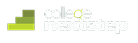CollegeNextStep Logo